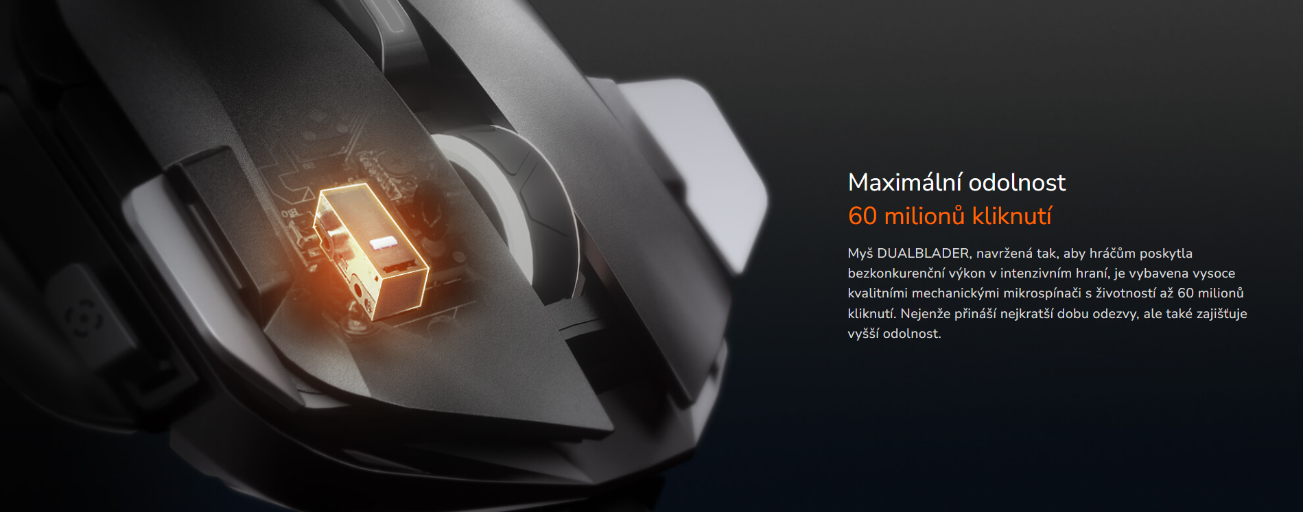 Snímek obrazovky 2026-03-24 124715